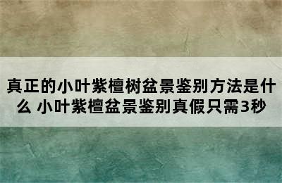 真正的小叶紫檀树盆景鉴别方法是什么 小叶紫檀盆景鉴别真假只需3秒